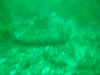 IMG_8476.jpg (130936 bytes)