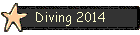 Diving 2014